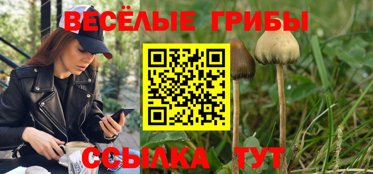 Псилоцибиновые грибы MAGIC MUSHROOMS Сызрань